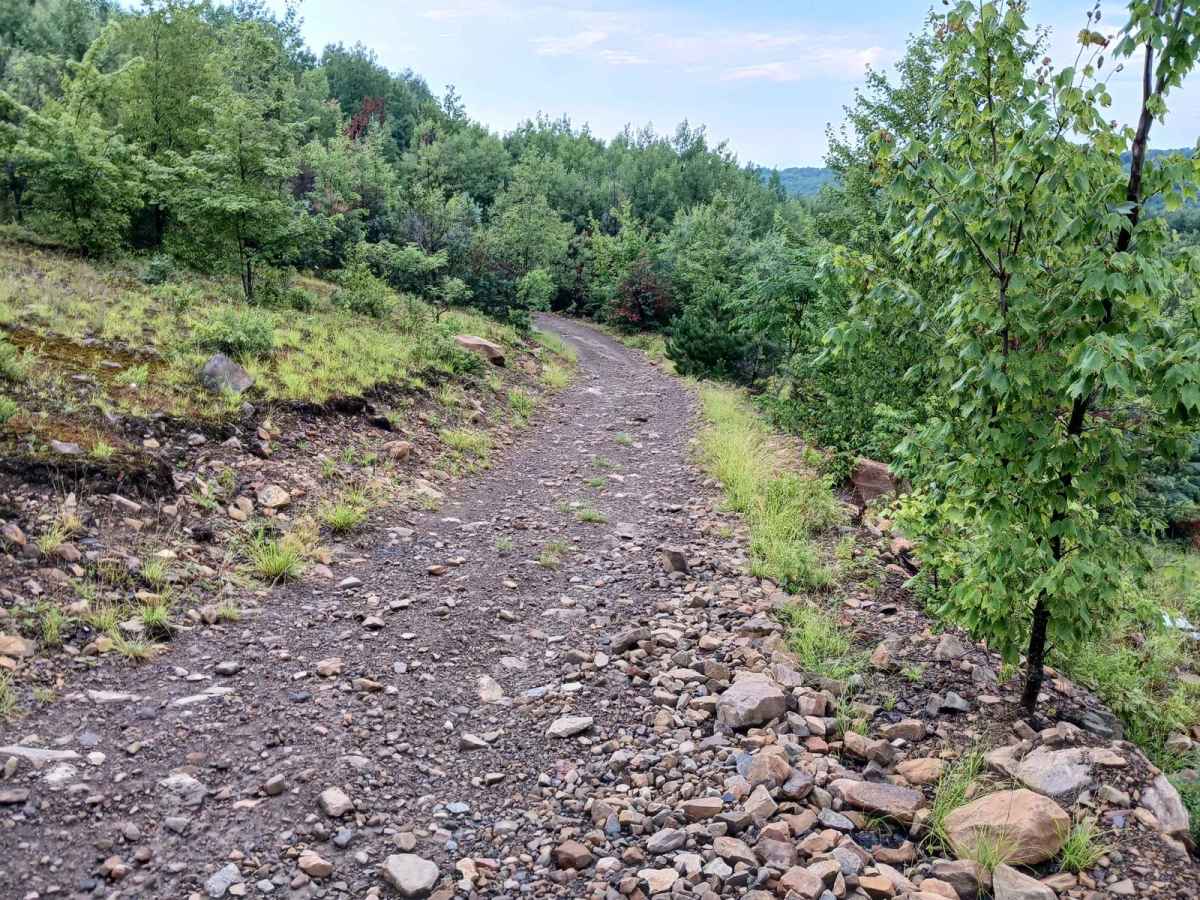 Trail 11A - Rock Run Recreation photo 3