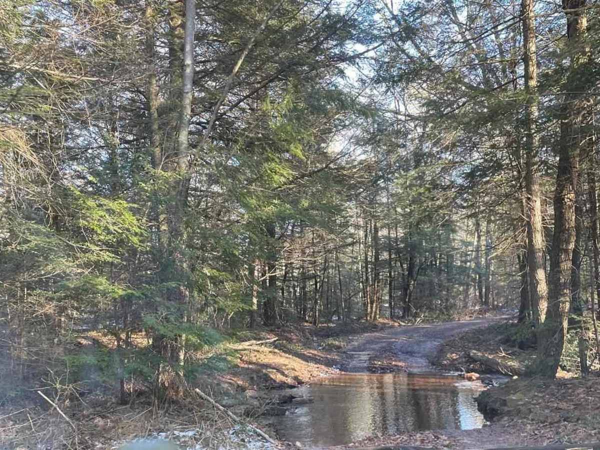4th Run Trail trail photo