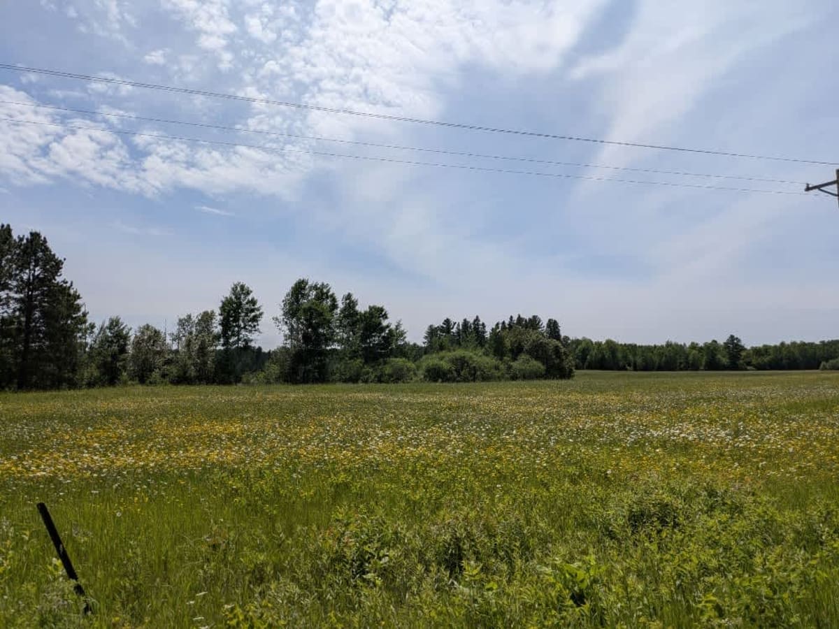 Country Road 127 photo 2