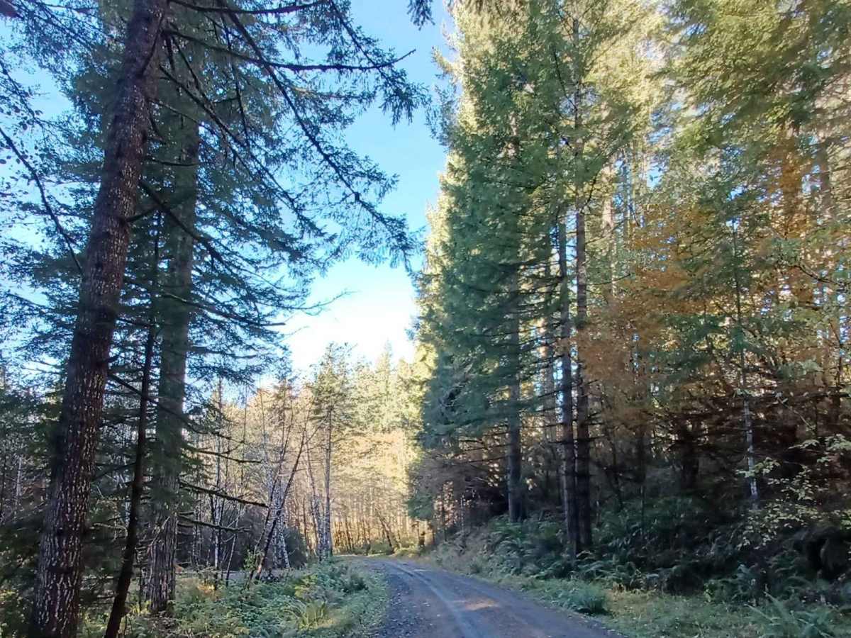 Niagara trail photo