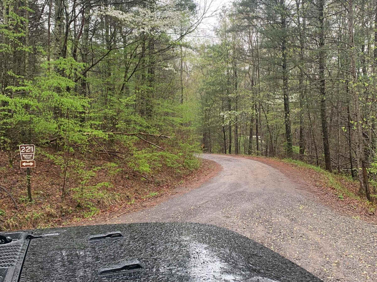 FS 221 - Big Frog trail photo