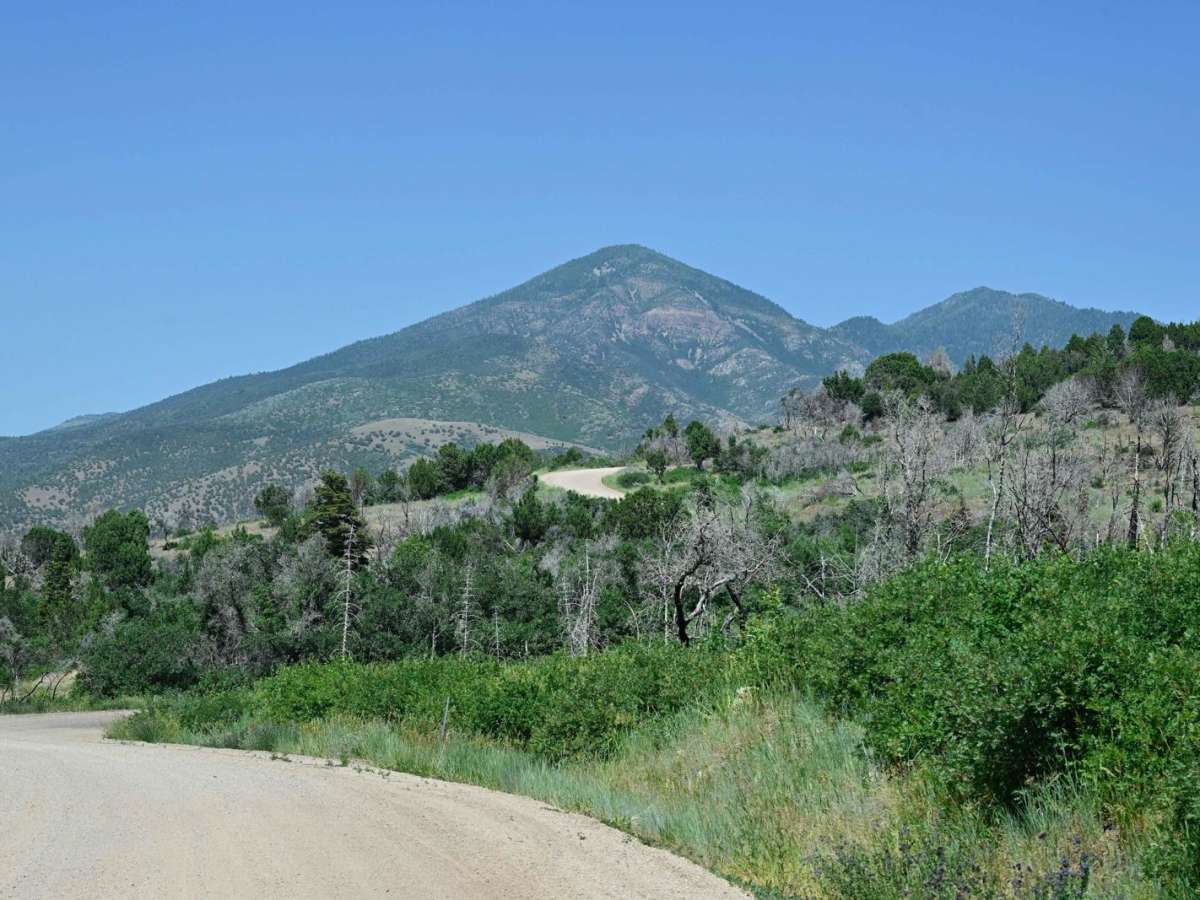 Chalk Creek Road/PST 03A photo 6