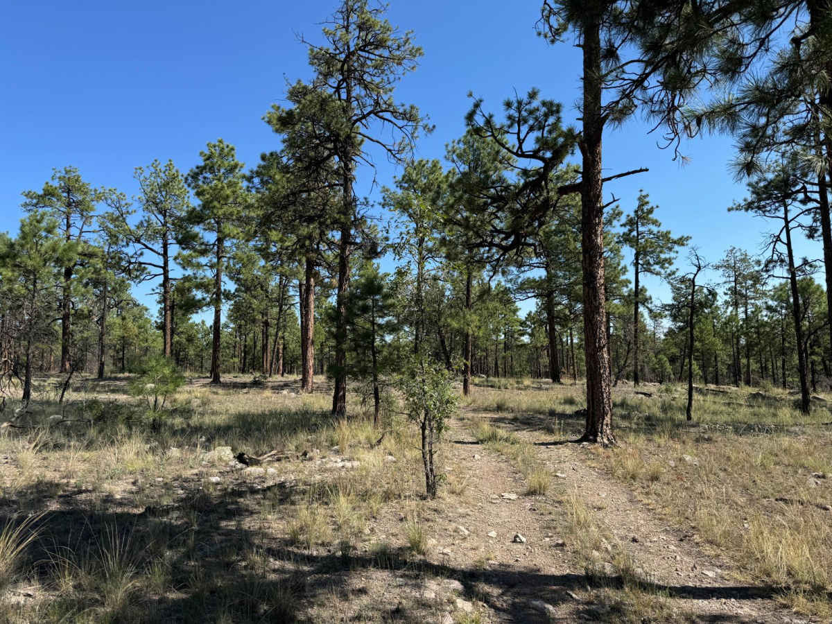 4073W photo 5