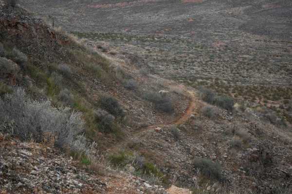 Dutchman Rim