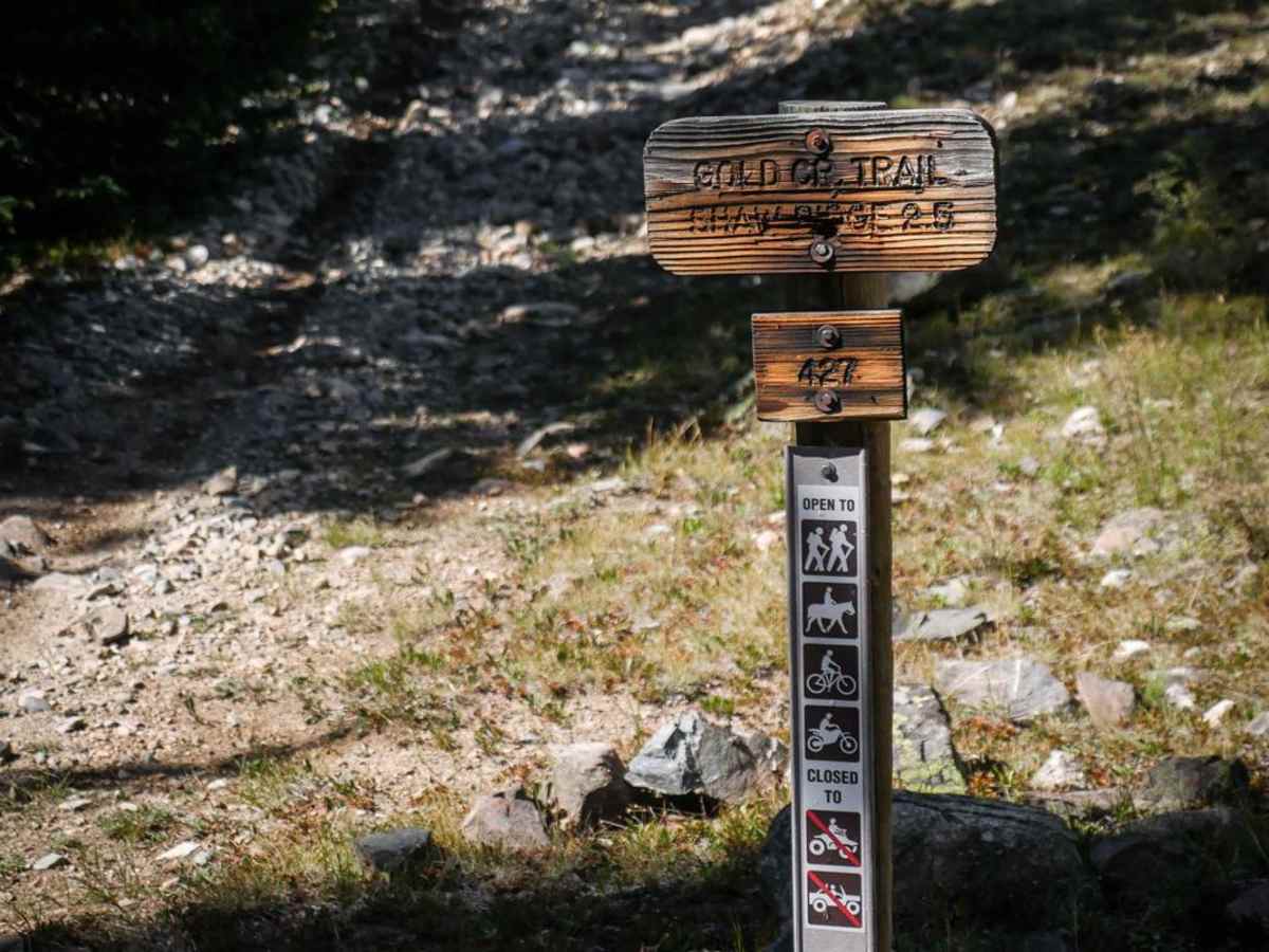 Gold Creek (South) photo 2