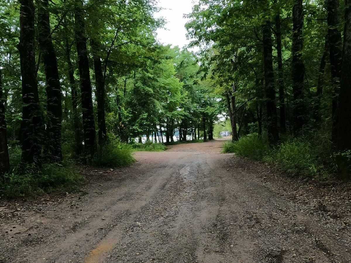 Turkey Creek Road FSR 167 photo 4