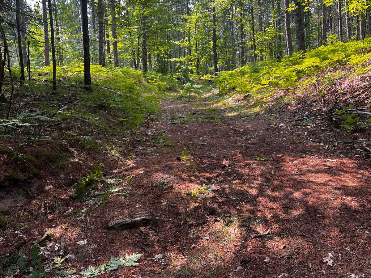 25 1/4 Trail trail photo