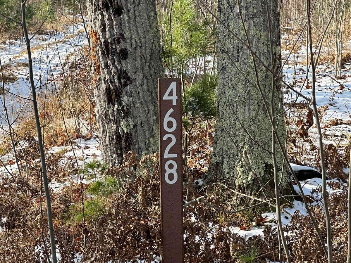 FS 4628 trail photo