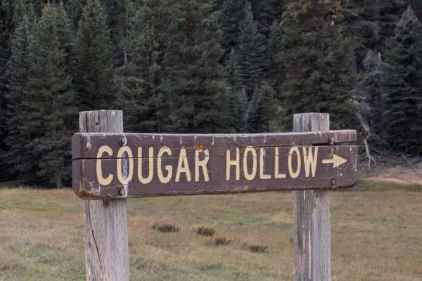 Podunk Cougar Hollow Loop