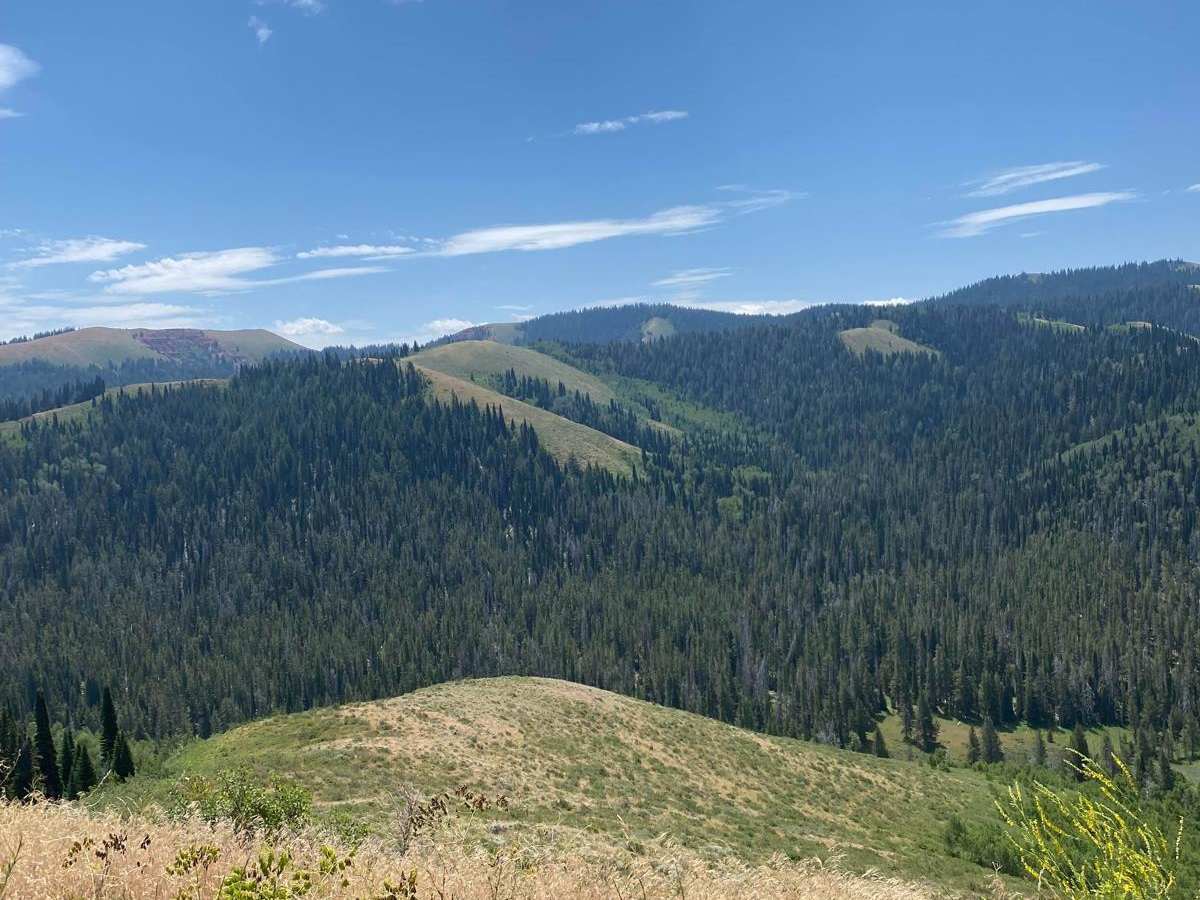 Old Canyon Trail photo 4