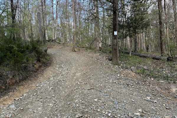 Trail 22