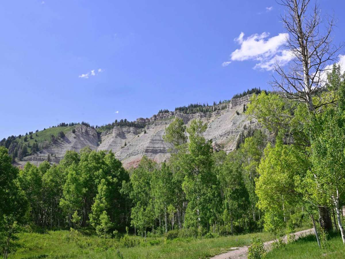North Fork Manti Canyon - FR50046 photo 6