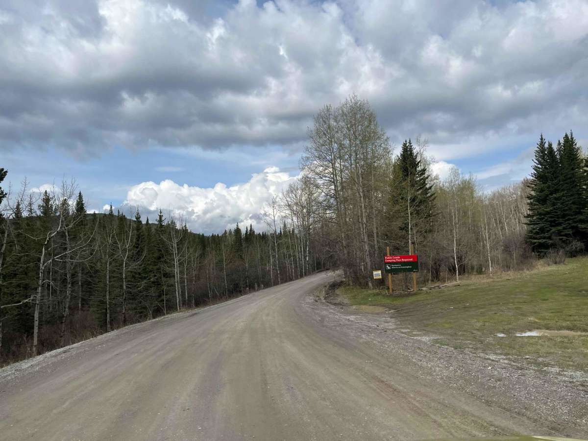 Waiparous Valley Road trail photo