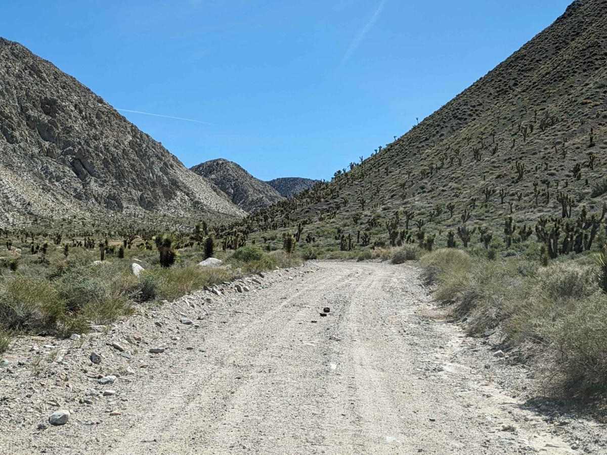 Willow Creek Road to Pigeon Springs photo 6