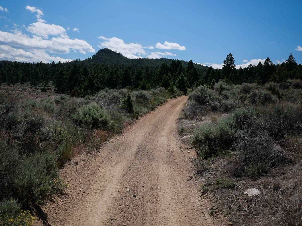 Trail 21 photo 3