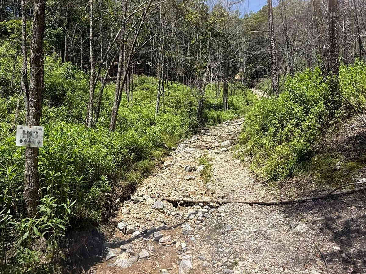 H13 Rock & A Hard Spot trail photo