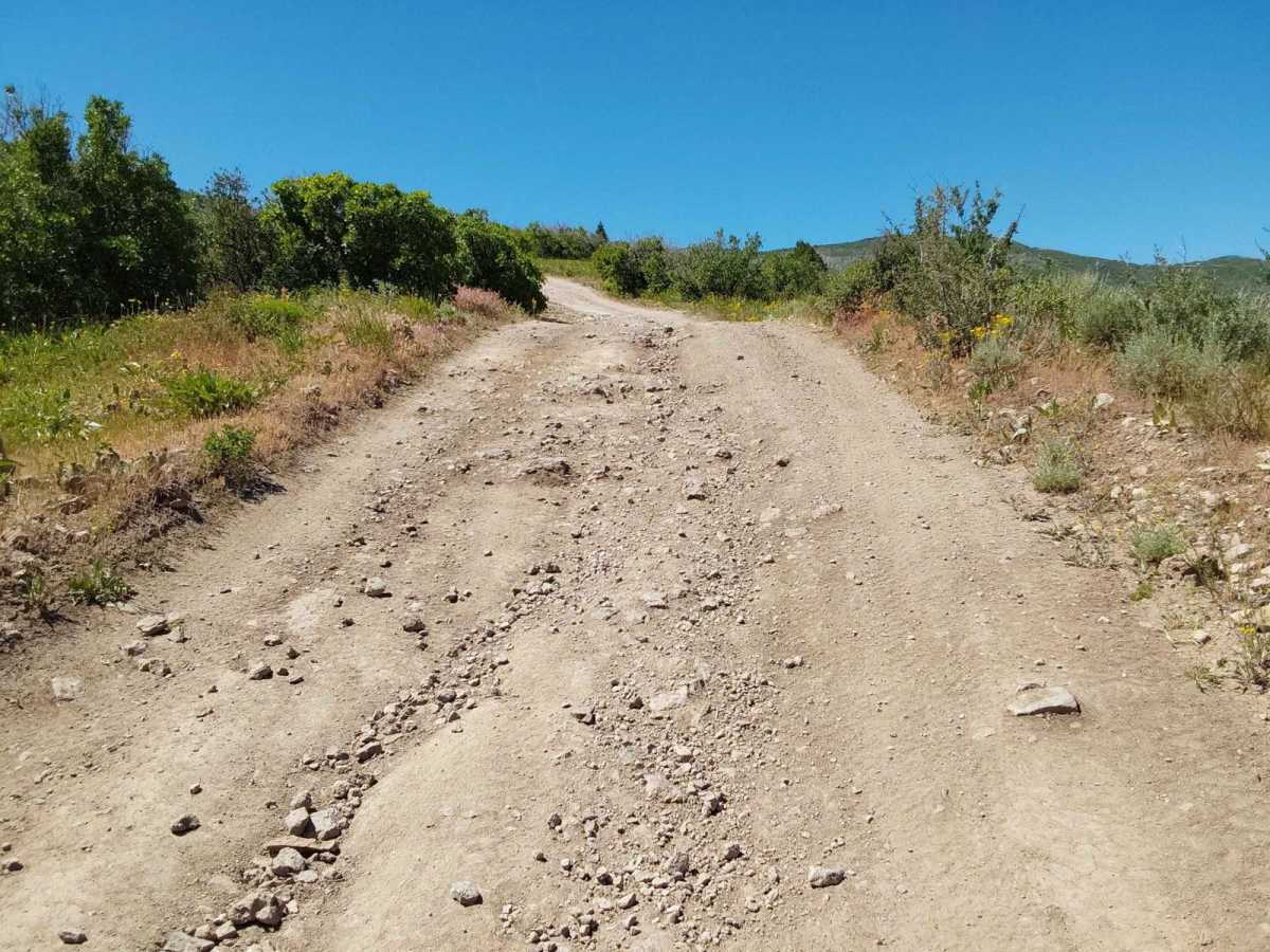 Roy's Elk Bugling Trail photo 2