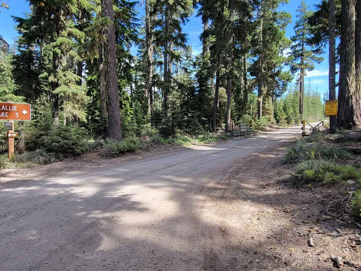 Skyline Road/Olallie Lake - FR 4220 trail photo