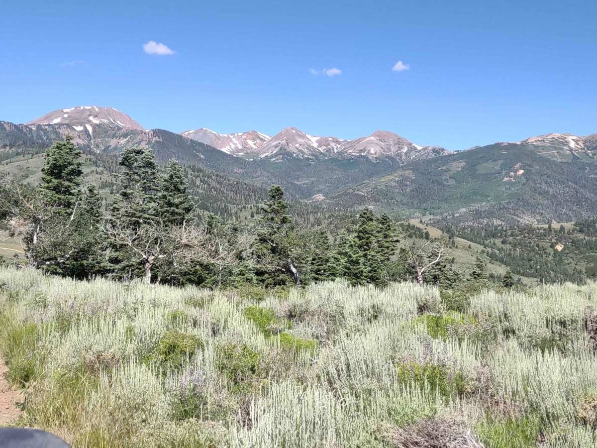 Cottonwood Canyon Overlook trail photo