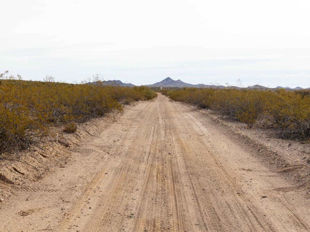 Microwave Station Road photo 6