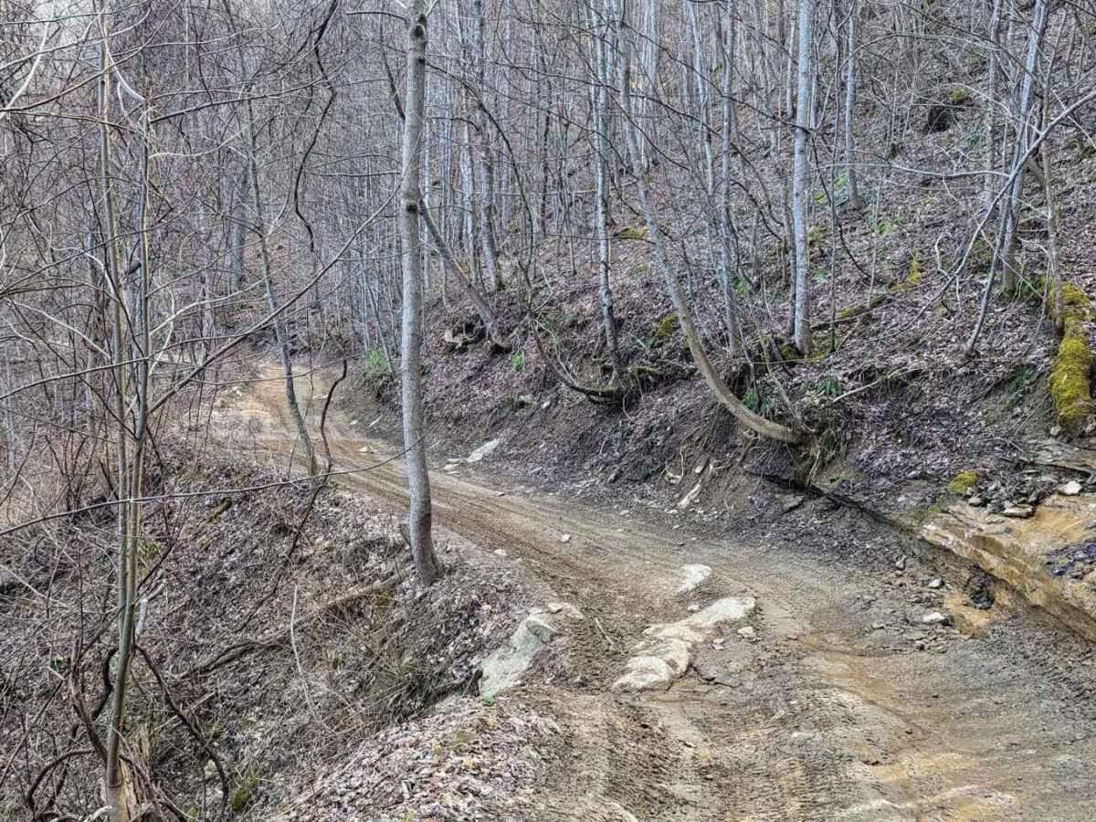 Access Road/Trail 48 photo 2