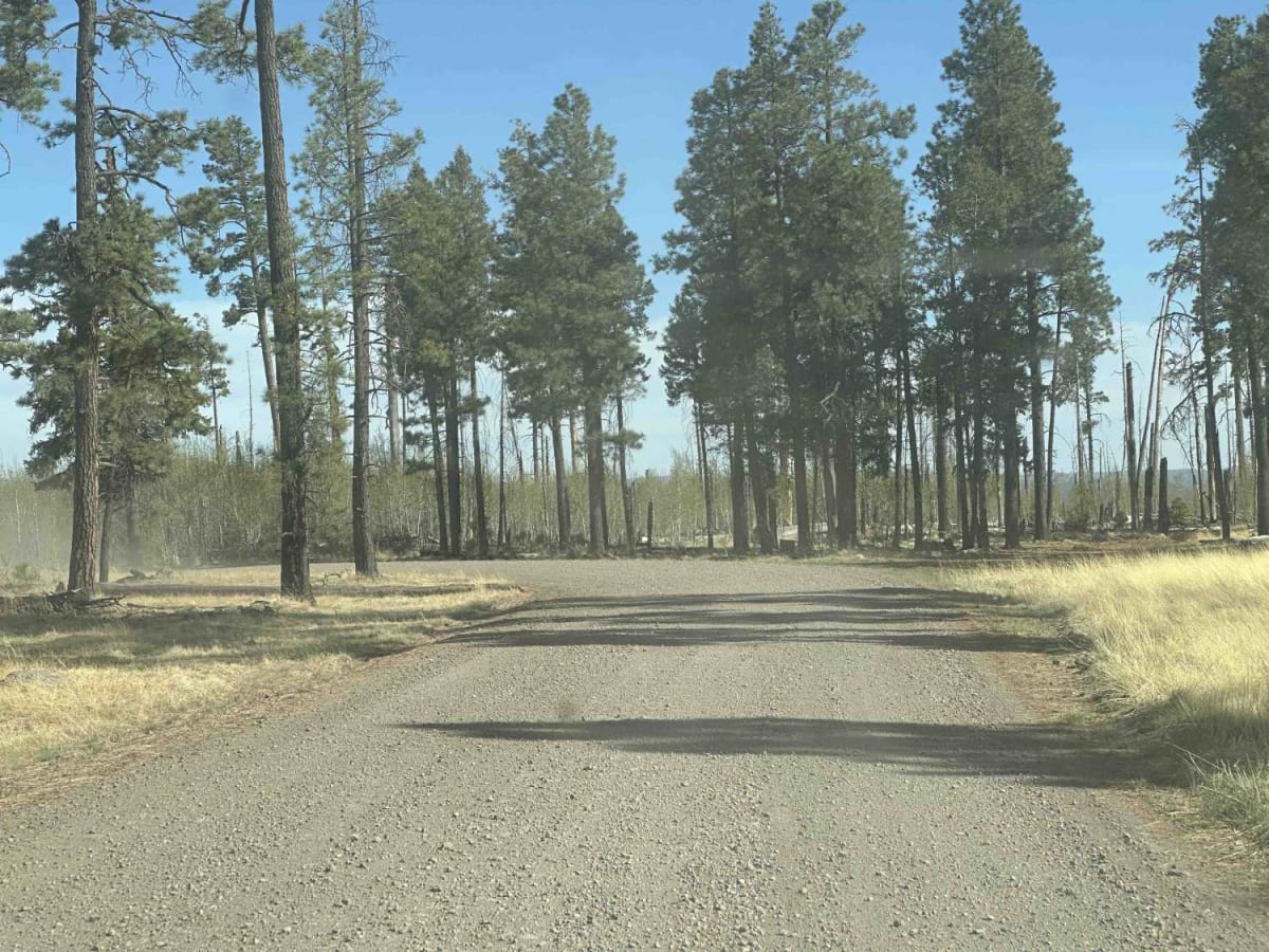Conklin Spring Road - Forest Road 68 photo 3