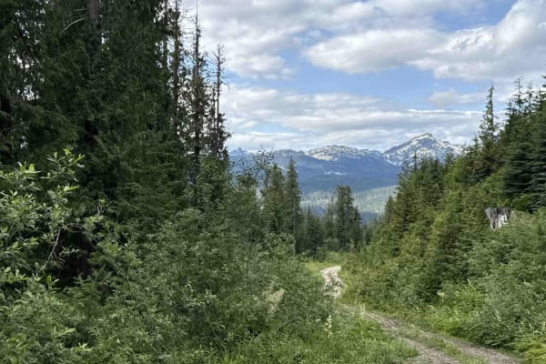 North Fork Spur