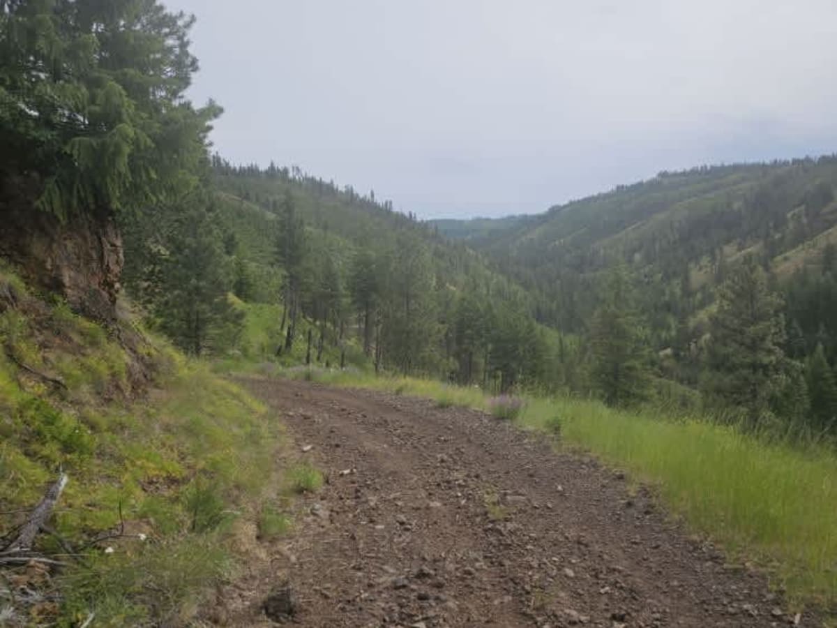 Pataha Cable Road photo 5
