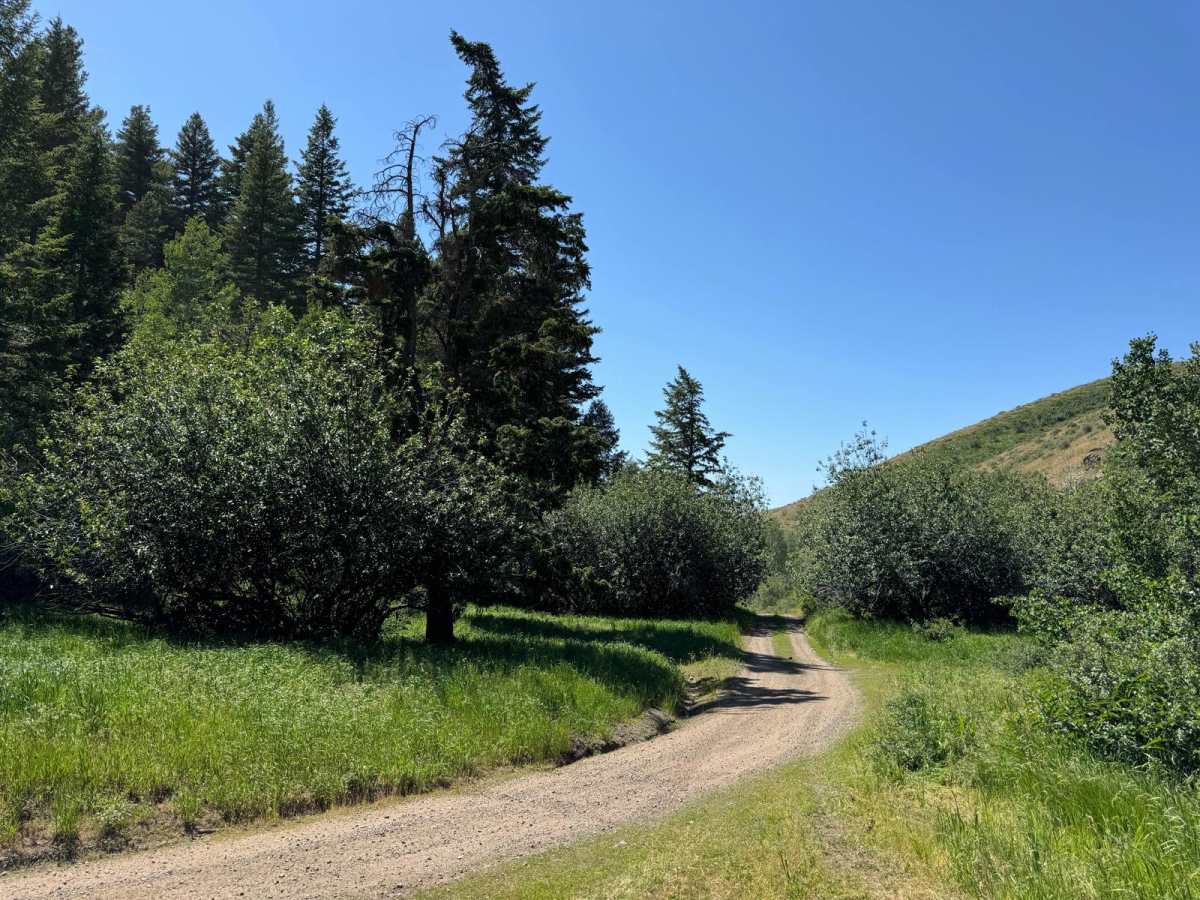 South Heglar Canyon trail photo