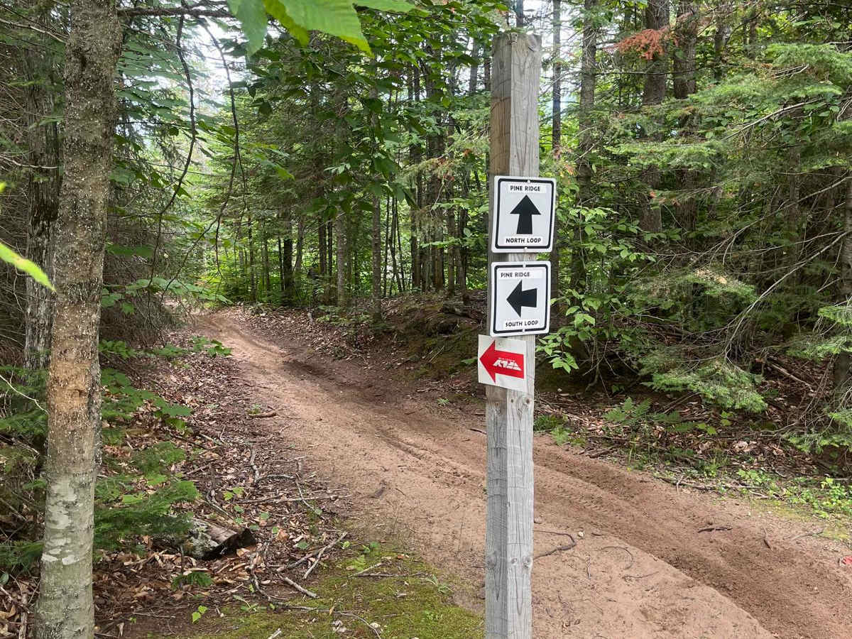 Pine Ridge Trail photo 3