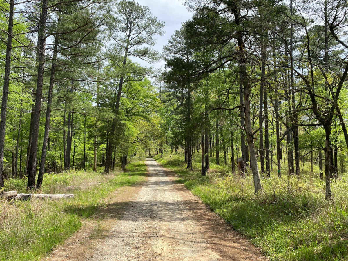 Hitchiti trail photo