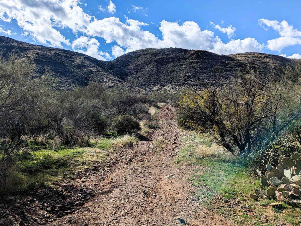 Black Canyon Creek Exit photo 6