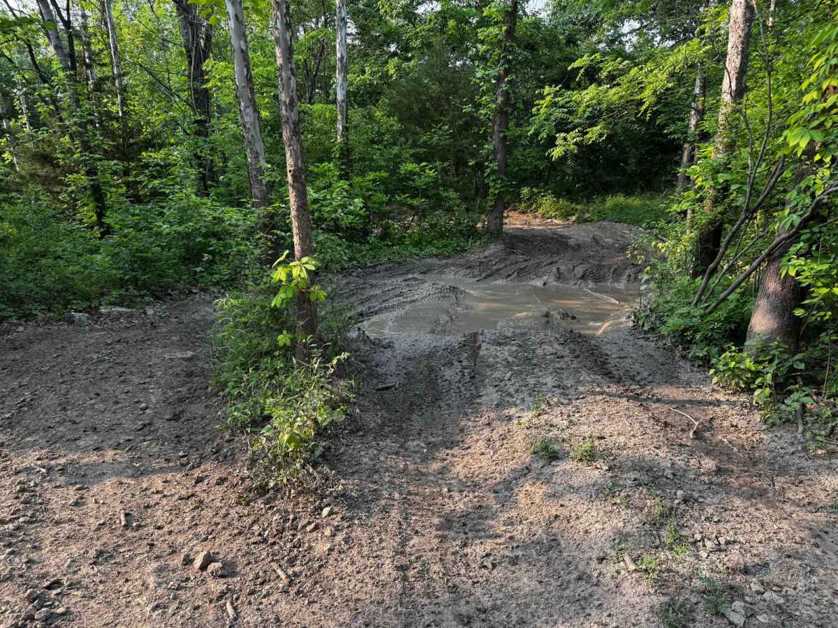 Hillside Drive 142 photo 5