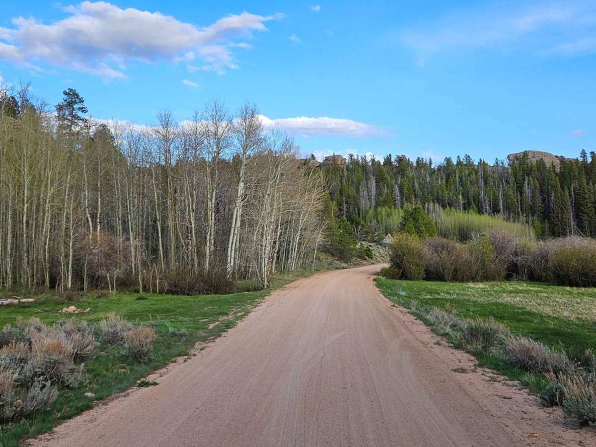 Blair Wallis Road trail photo