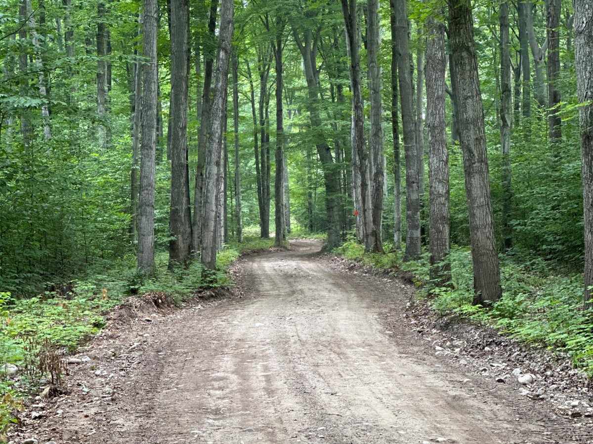 North Haze Road Part 4/48461 photo 4