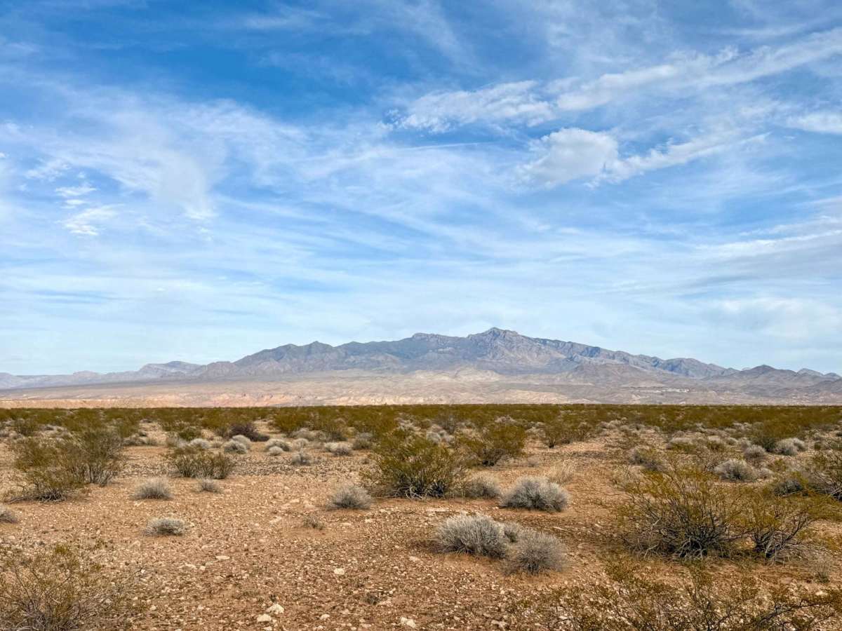 Joshua Trees and Cliffsides photo 6