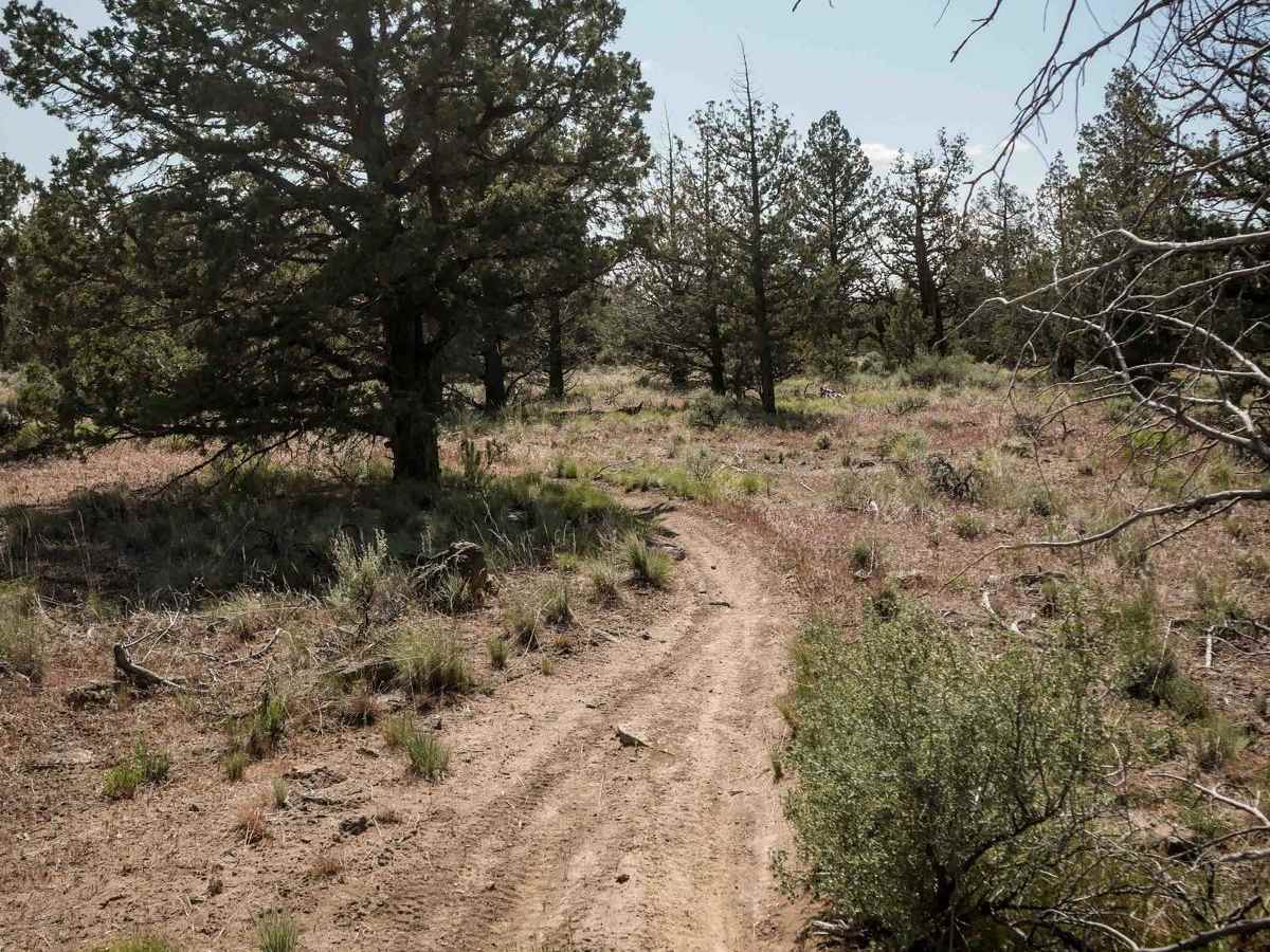71 trail photo