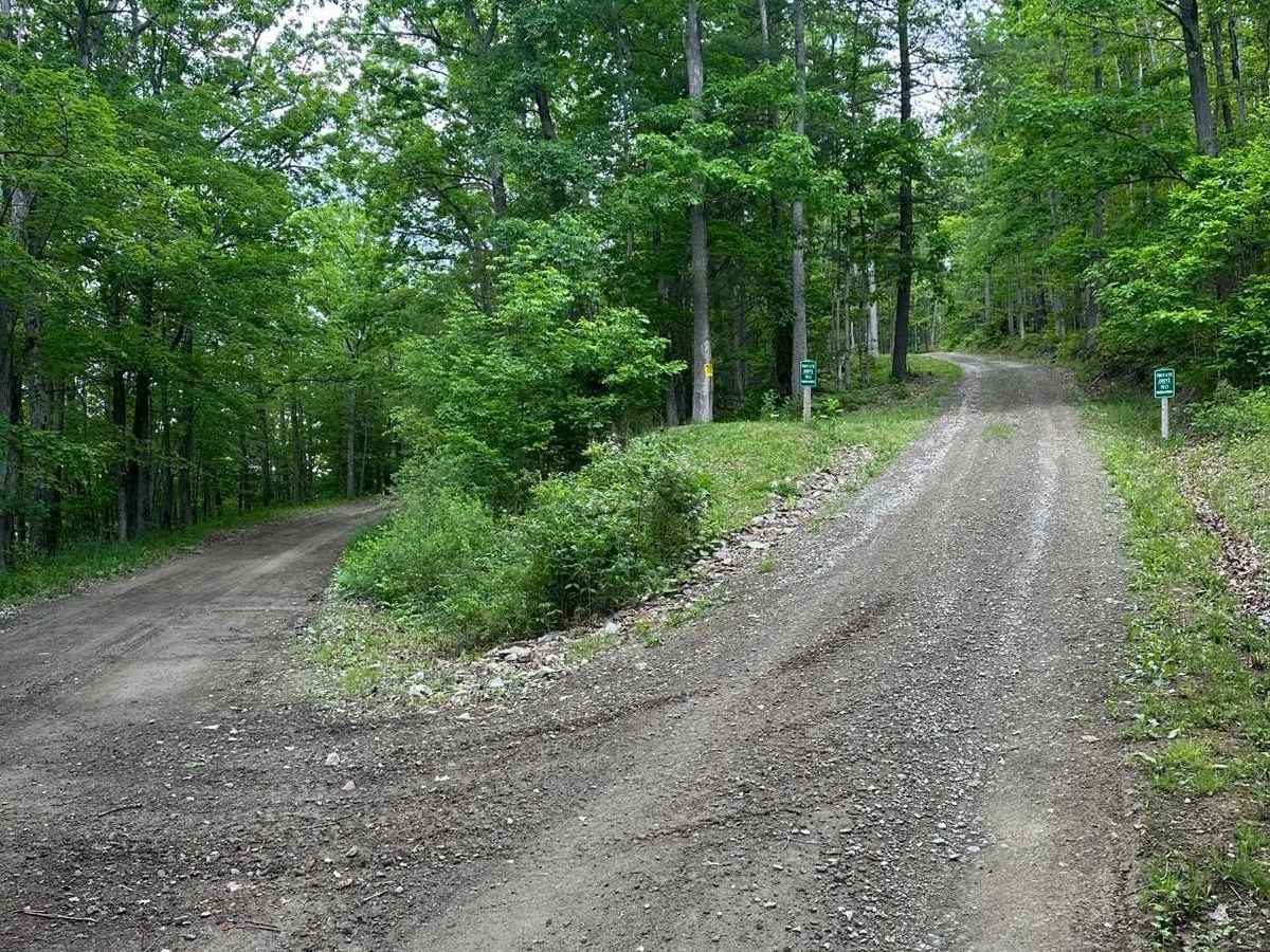 England Hill Road photo 4