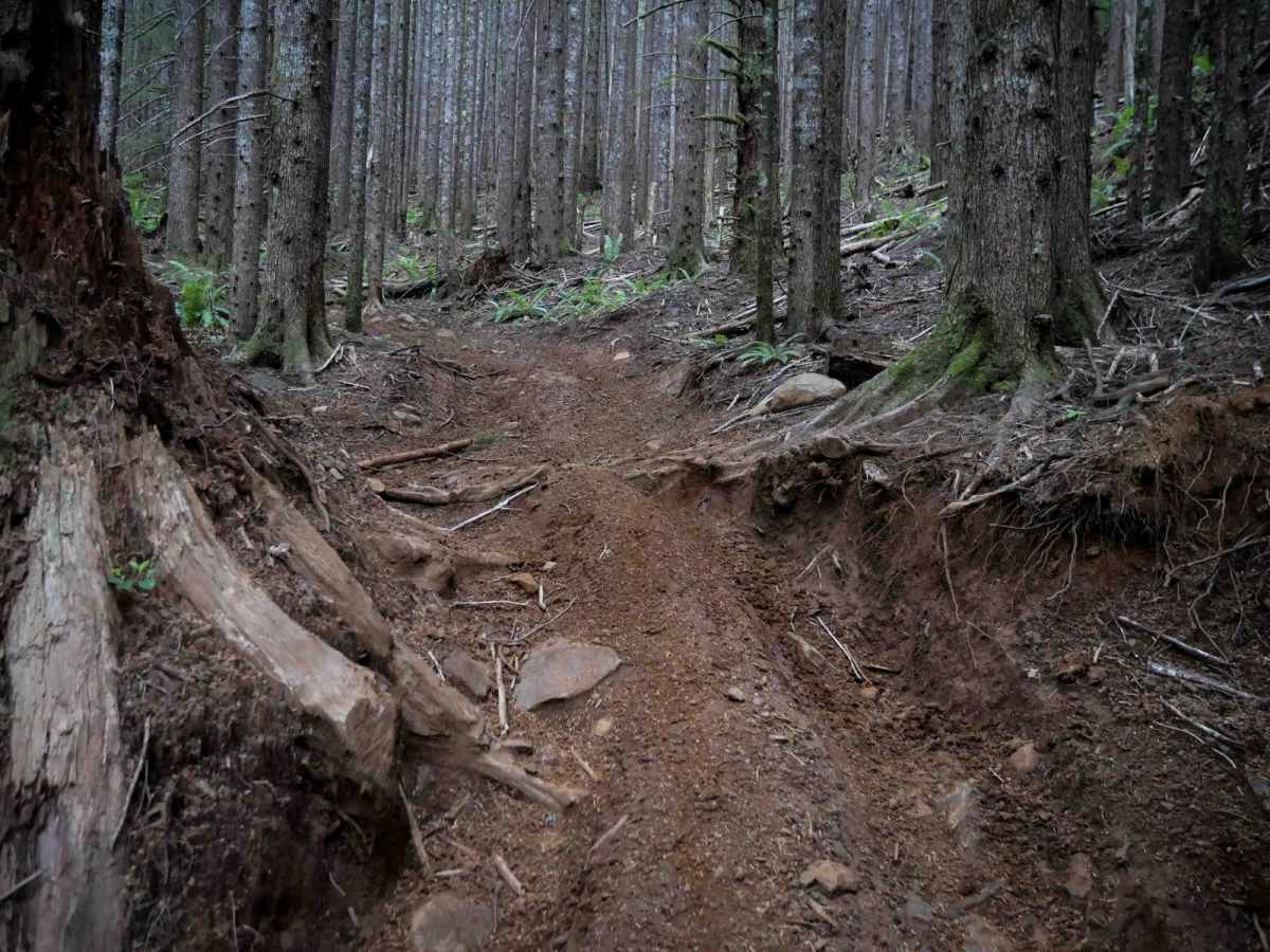 Plympton Creek trail photo