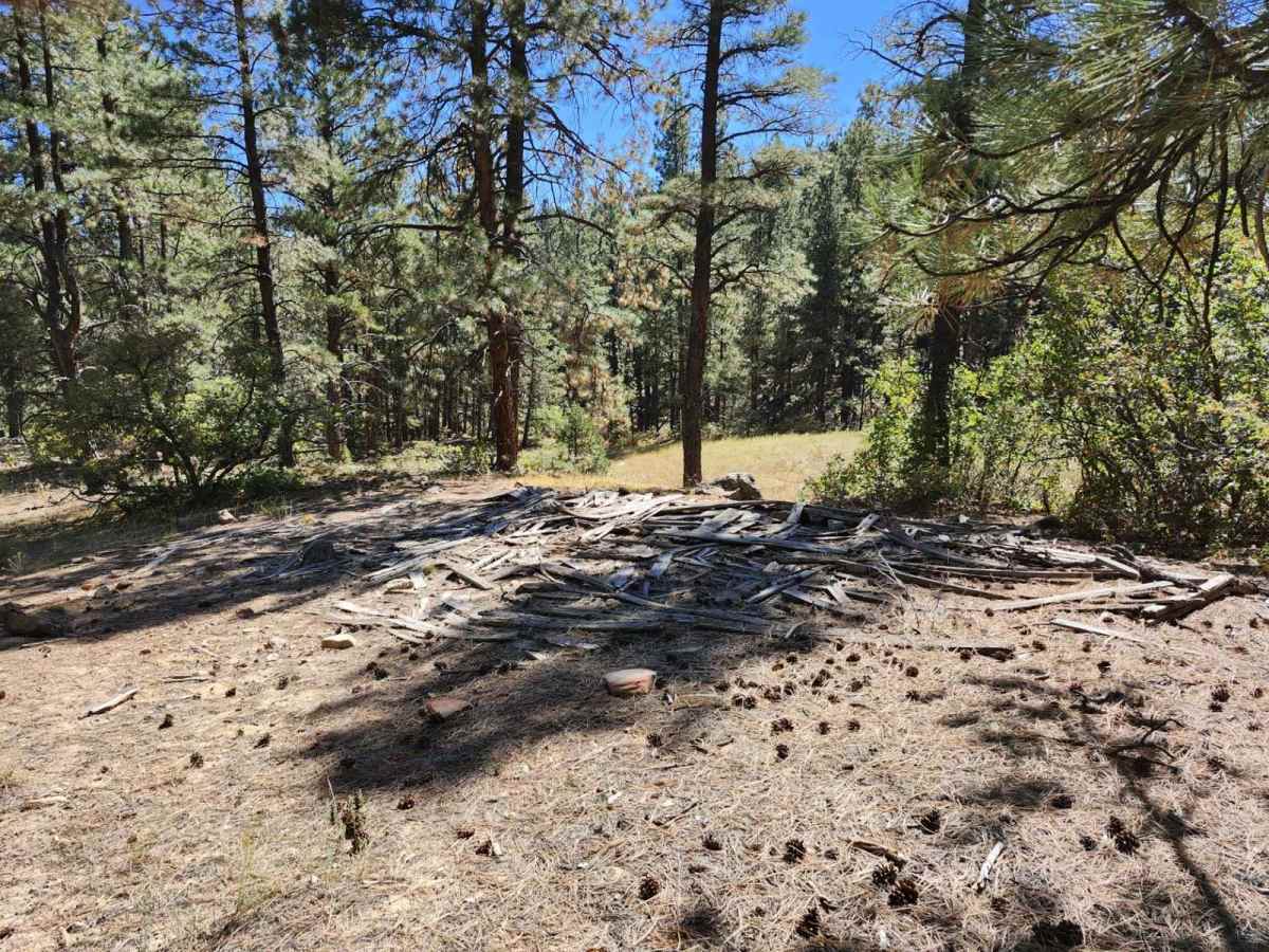 Bulldog Canyon Trail photo 4