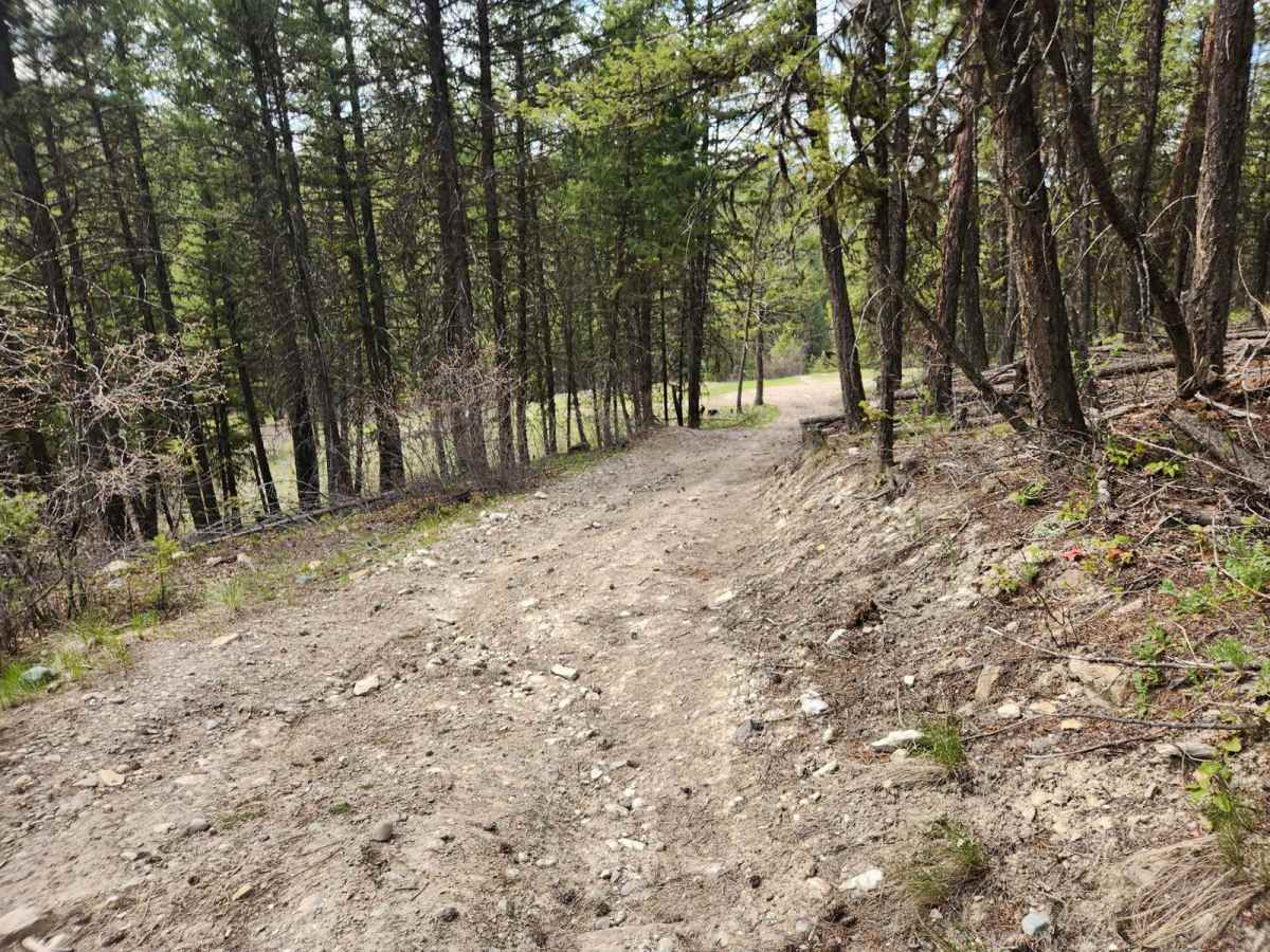 Pinkham Falls Route photo 2