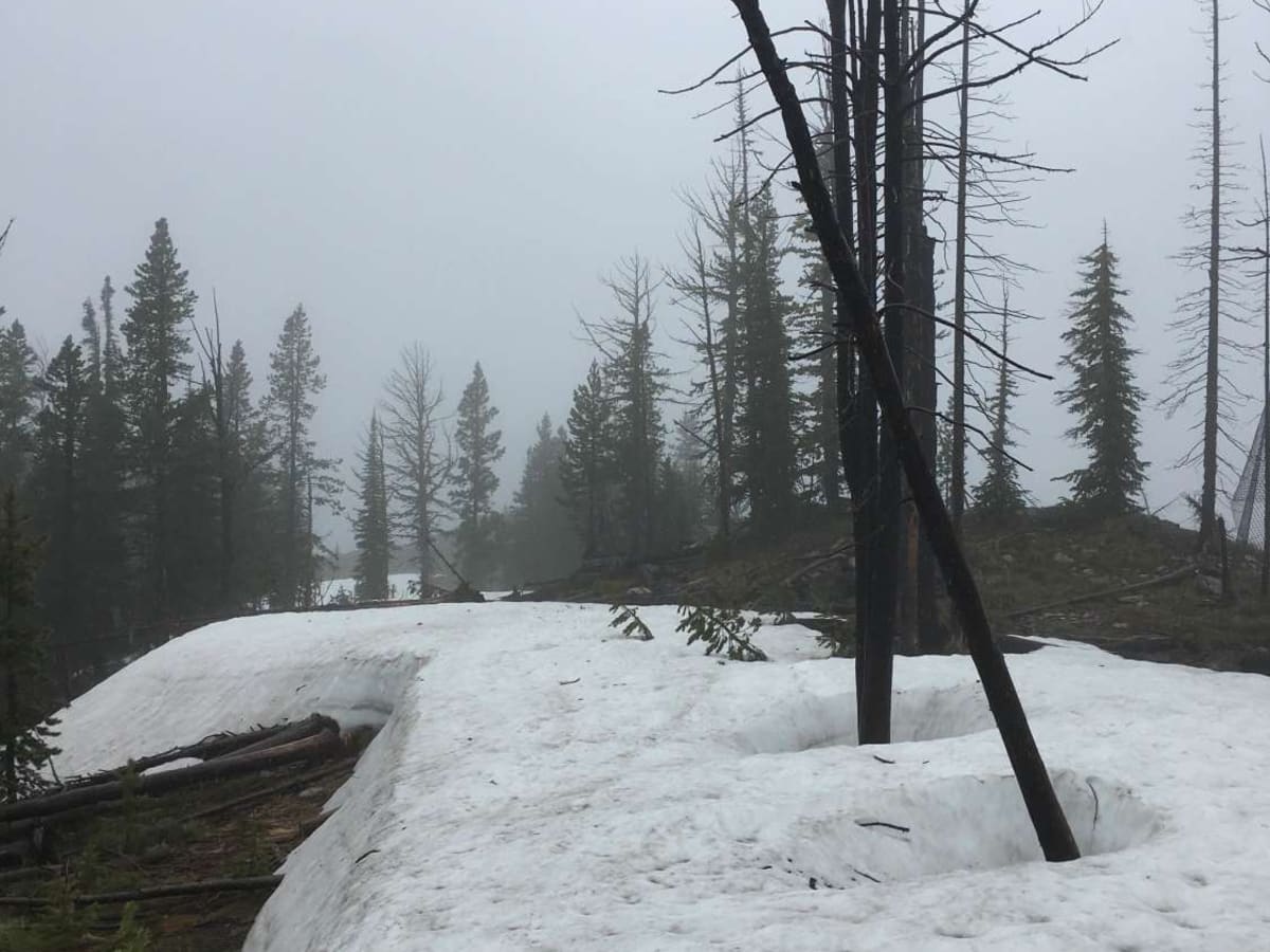 Saddle Mountain Trail photo 4
