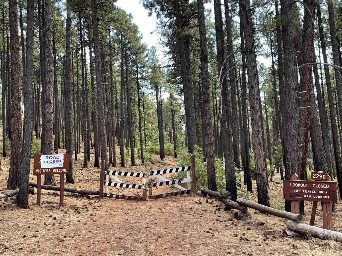 Buck Mountain Lookout trail photo