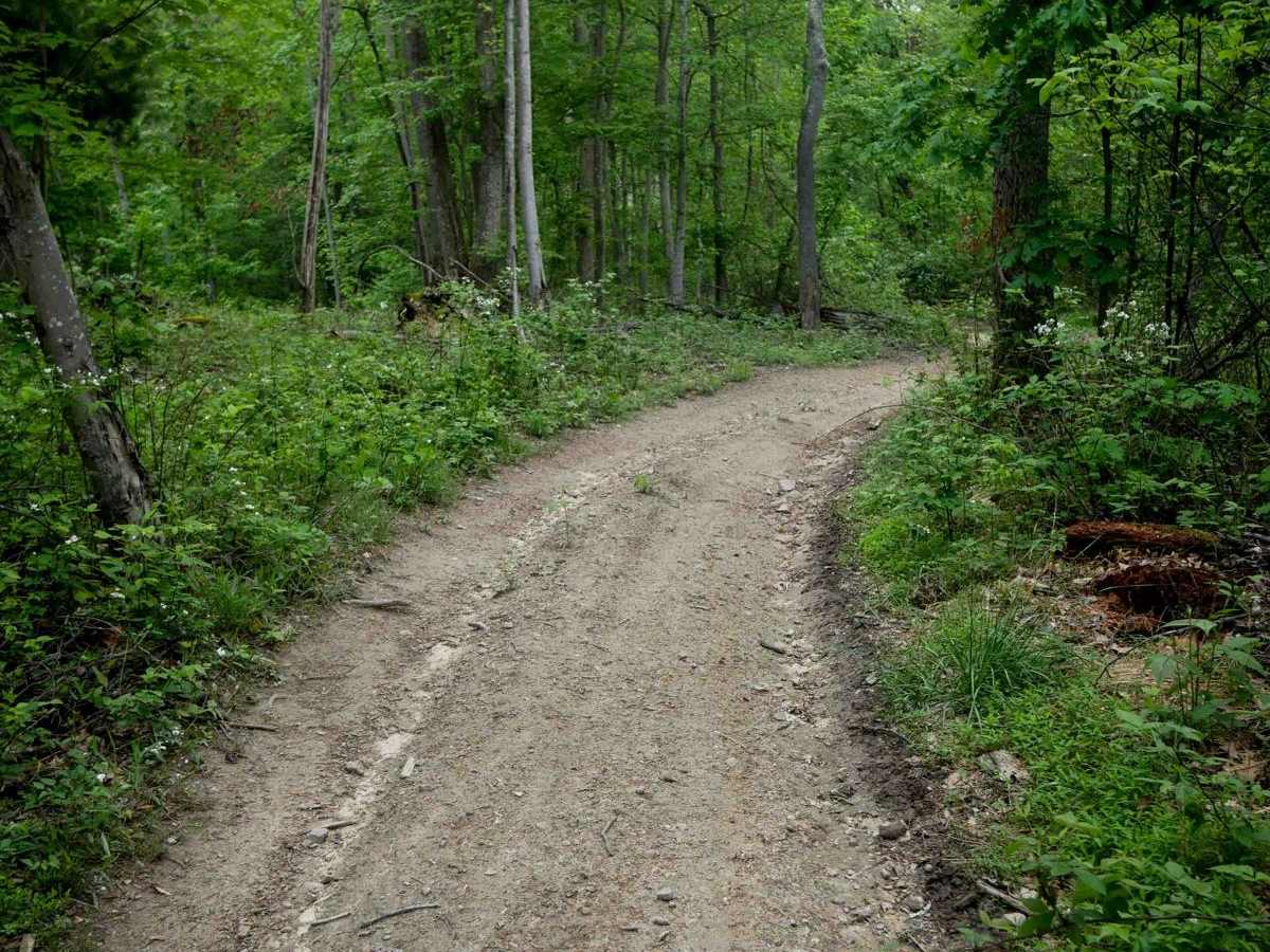 Trail 8 photo 3