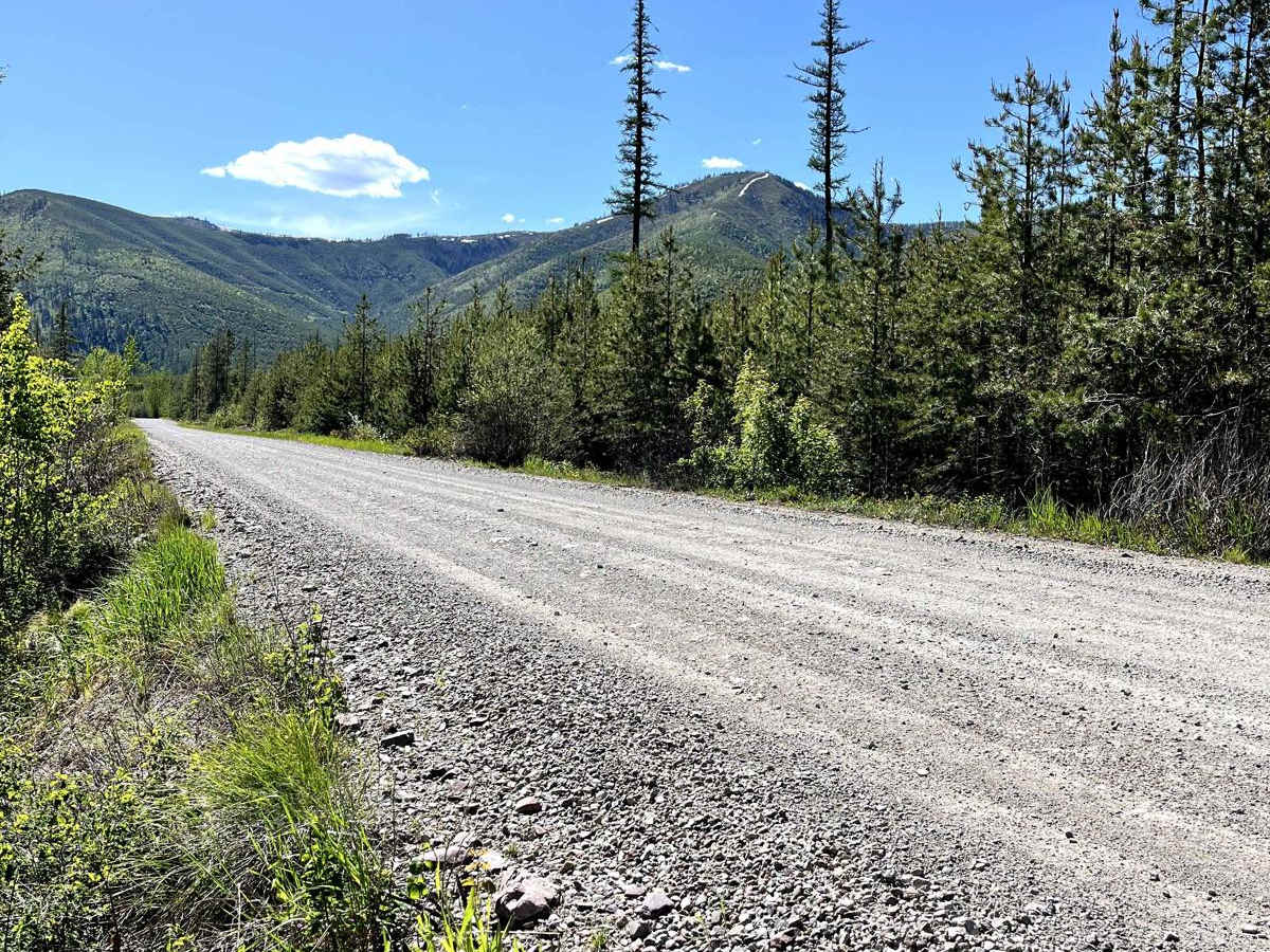 Big Cr Canyon Creek - NF316 photo 2
