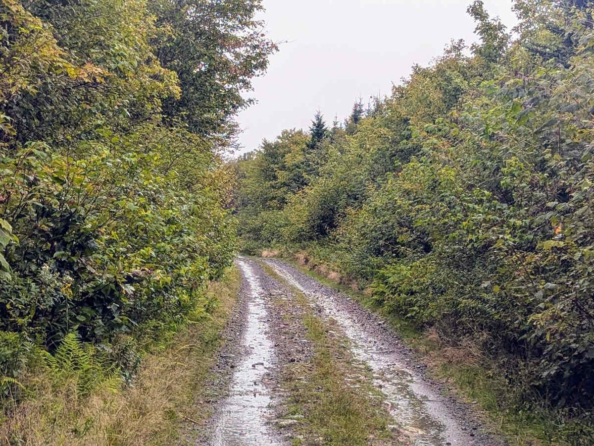 Strathglass Road photo 5