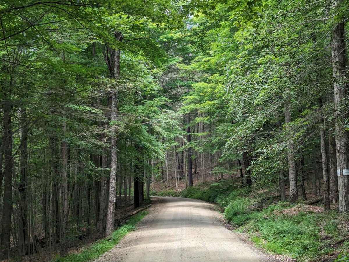 Cold Run Road photo 3