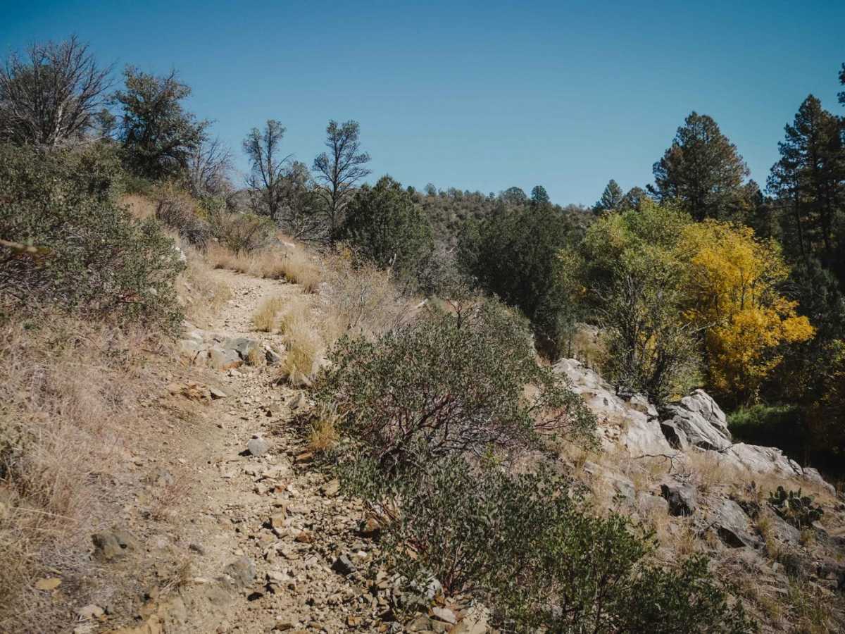 Salida Connection photo 6