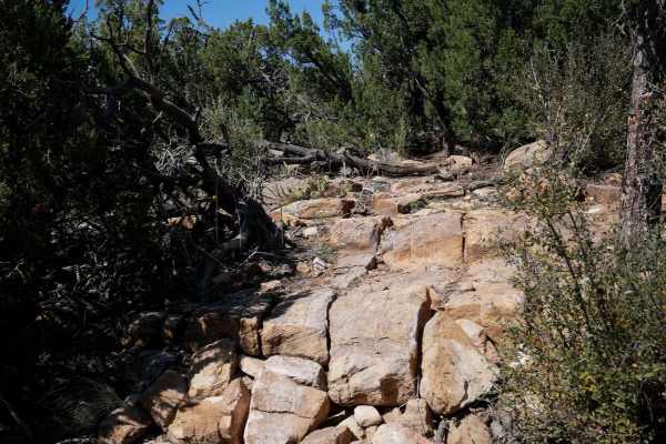 The Ridge - Penrose Commons Recreation Area