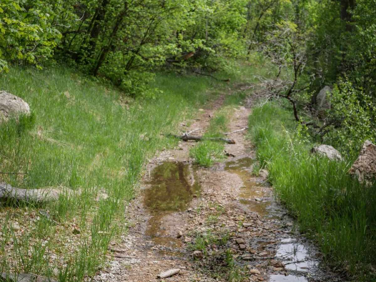 Long Hollow ATV photo 5